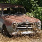 If My Body Were a Car