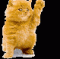 Catlady1