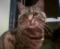 10569-Daisy_19_Feb_2005