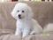 20259-Sophie_jan_07