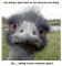 22198-Ugly_Prick