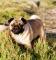 24939-Sonny_701