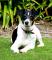 26854-Sparks_001_270806