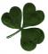 61959-irish_shamrock_2