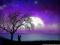 67246-th_epithetic_love_wallpaper