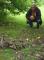 67836-David___ducks_