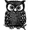wizeowl