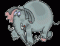 9758-trunk_under_foot