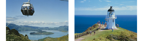 Gondola and Cape Reinga