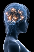 Build a better brain