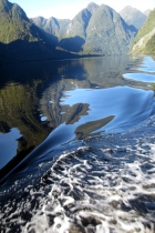 Fiordland Reflections