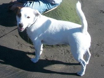 160206_Kaye_Faraway2