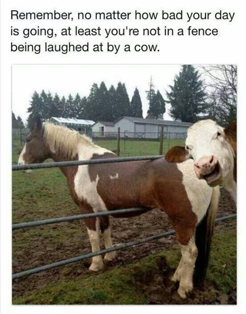 20992598_1438357299580251_5122540625789349885_n