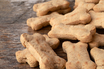 dog treats