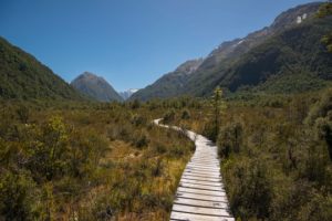 90a2a93f-dc3e-12e2-16cab2dae91d6041