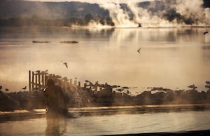 Adult-Pools-12-Polynesian-Spa