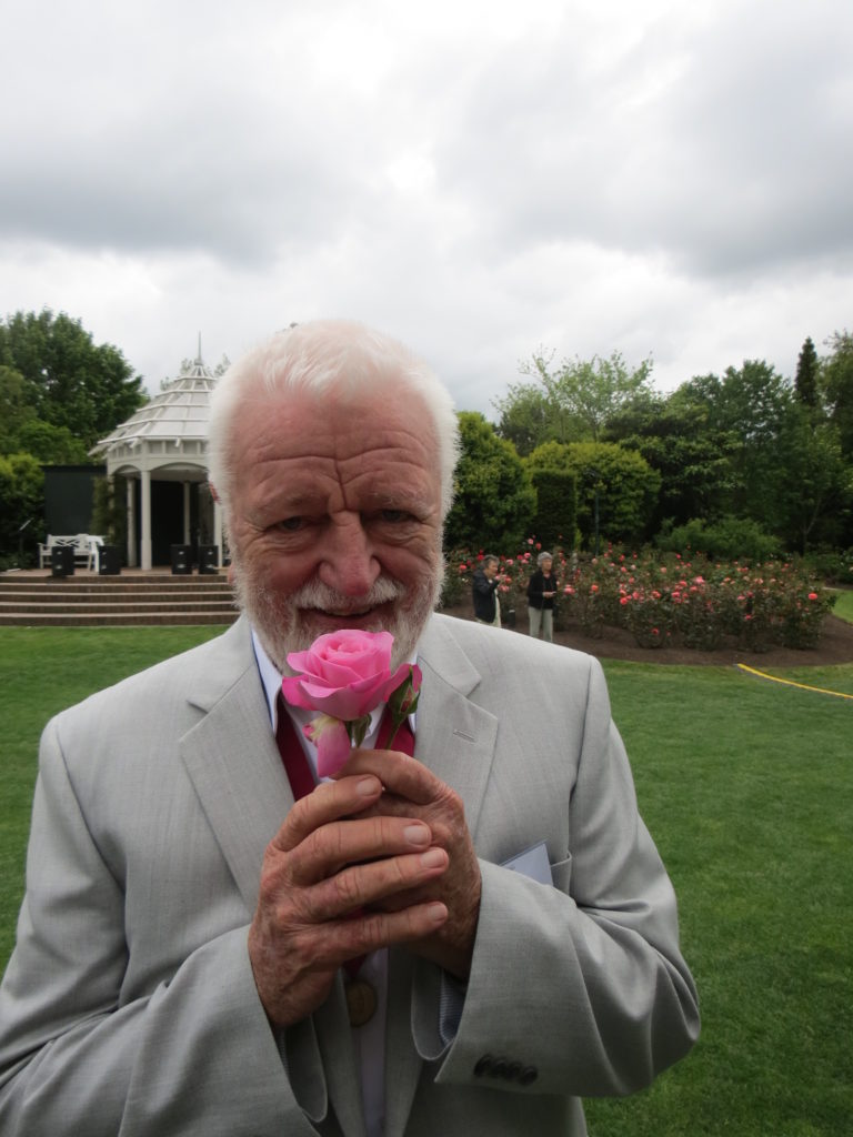 Dr Sam McGredy My Girl Dr Sam McGredy My Girl