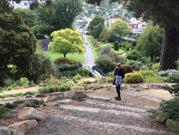 dunedin-botanic-gardens