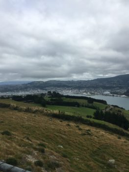 dunedin-from-highcliff