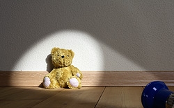 Flashlight Shining on a Teddy Bear