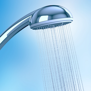 hrv0550shutterstock_121282840