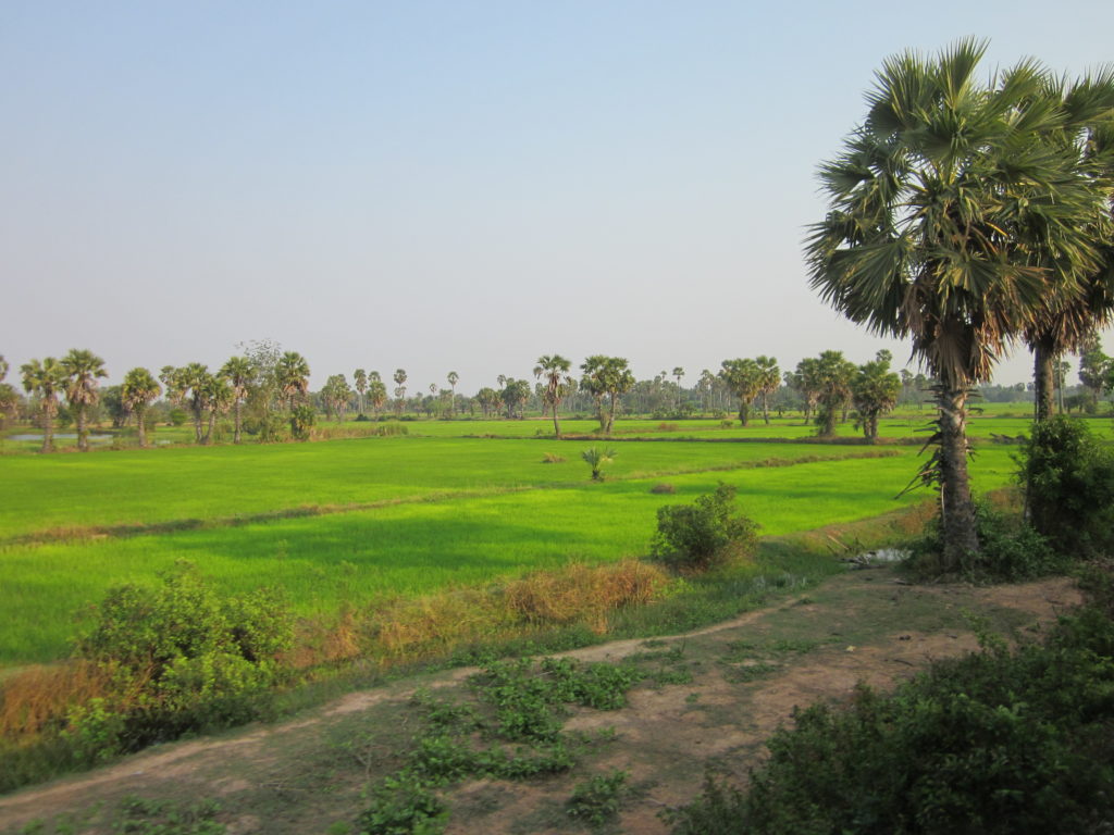 Hire a bike and see the hinterland close up Hire a bike and see the hinterland close up