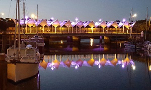 You don’t have to be a photographer with a DSLR camera to produce stunning shots with your phone. Most people have a smartphone these days. They can be carried in your pocket or handbag ready to capture awesome shots anywhere you go. Learn a few photography basics, practice them and you will be amazed at what you can produce. Basics for getting started Get to know your camera. Start taking photos in the ‘Auto’ mode until you can see the improvement in your photo-taking technique. Compose your picture. This is particularly important for smartphone photography as you don’t have the technical advantages that a DSLR camera has. Think about the following: Light-where is it coming from? If the light is coming from behind the subject of your photo it will cause a silhouette effect which is not desirable when photographing people. Lines-If you want the viewer to look at your subject place them at the end of a line e.g. a fence line. The subject may be a person or it may be another focal point such as a mountain, a tree or a lake. Space- Avoid placing the subject in the middle of the photo. If you want the subject to stand out surround it with empty space. Keep the shot simple and focus on the subject. Keep an eye on the background. Look for things like posts, branches or trees behind the subject that would detract from the simplicity of a good shot. Vertical and horizontal orientation. Vary the way you use your camera when taking photos. Use the camera in a vertical position to take shots of vertical lines (see image above) and in a horizontal position to emphasise horizontal lines (see image below). Watch your horizon. Check that you are holding the camera straight while shooting. Other points to remember • Get close to your subject.  Don’t zoom – crop the photo afterwards instead. Zooming in when shooting can cause pixilation of your photo. Cropping later during the editing process gives a better result.  Edit instead of using the filter option. This gives you more control over the finished picture.  Use the editing app that comes with the camera. This is all you will need to start with.  Try not to use the flash. If possible, instead position your subject so they are well lit. Sometime it’s better not to take the photo than to use flash, especially of people.  Keep your lens clean. Happy shooting! Cherry Bewley, Age Hacker