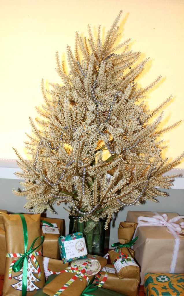 It's a cabbage tree Christmas