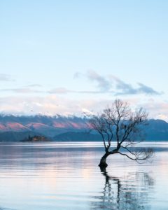 Lake Wanaka NZ