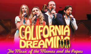 nz-lead-image-500wx300h