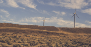 screen-shot-2016-11-17-at-2-05-19-pm