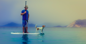 screen-shot-2016-12-20-at-11-27-35-am