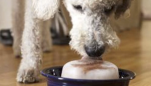 screen-shot-2017-01-10-at-3-48-49-pm