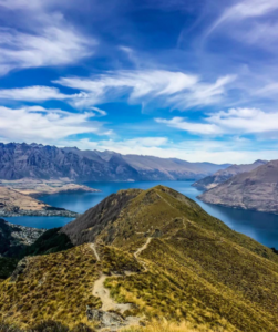 screen-shot-2017-01-18-at-3-05-55-pm