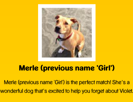 screen-shot-2017-03-21-at-2-39-47-pm