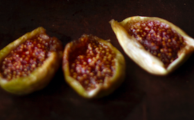 screen-shot-2017-04-12-at-2-28-41-pm