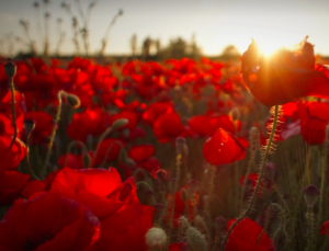 screen-shot-2017-04-12-at-2-39-56-pm