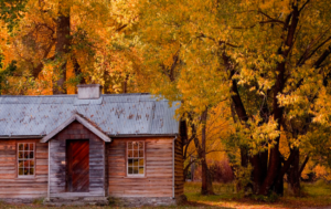 screen-shot-2017-04-20-at-9-51-17-am