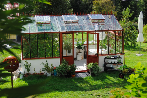 How to set up a greenhouse