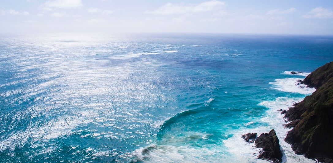 screen-shot-2017-08-18-at-11-55-20-am