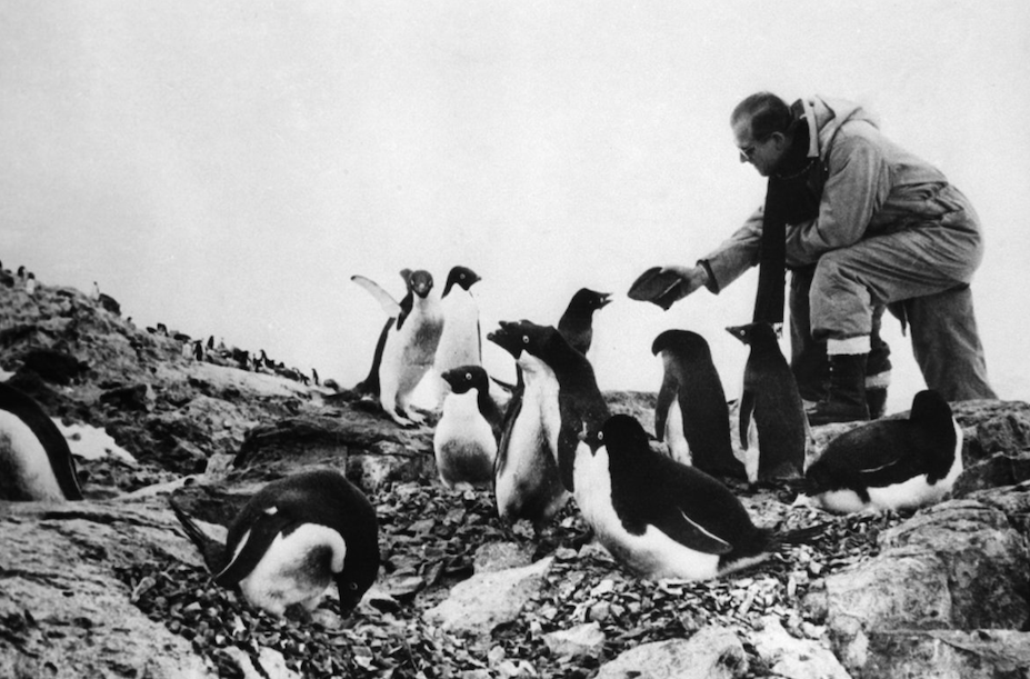 screen-shot-2017-08-31-at-1-42-00-pm