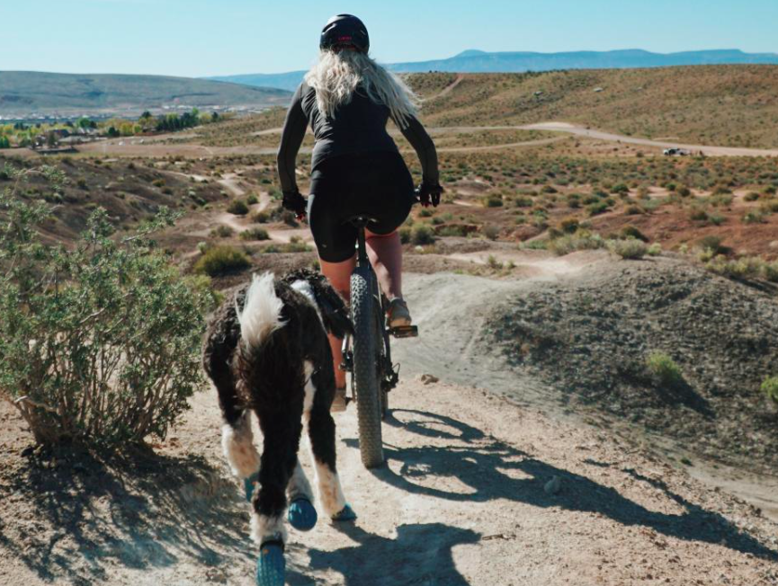 screen-shot-2017-10-03-at-3-47-37-pm