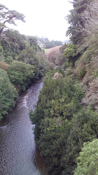The Makakahi River from the Cliff Walk