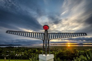 Todd Sheridan - Manu Hangarua