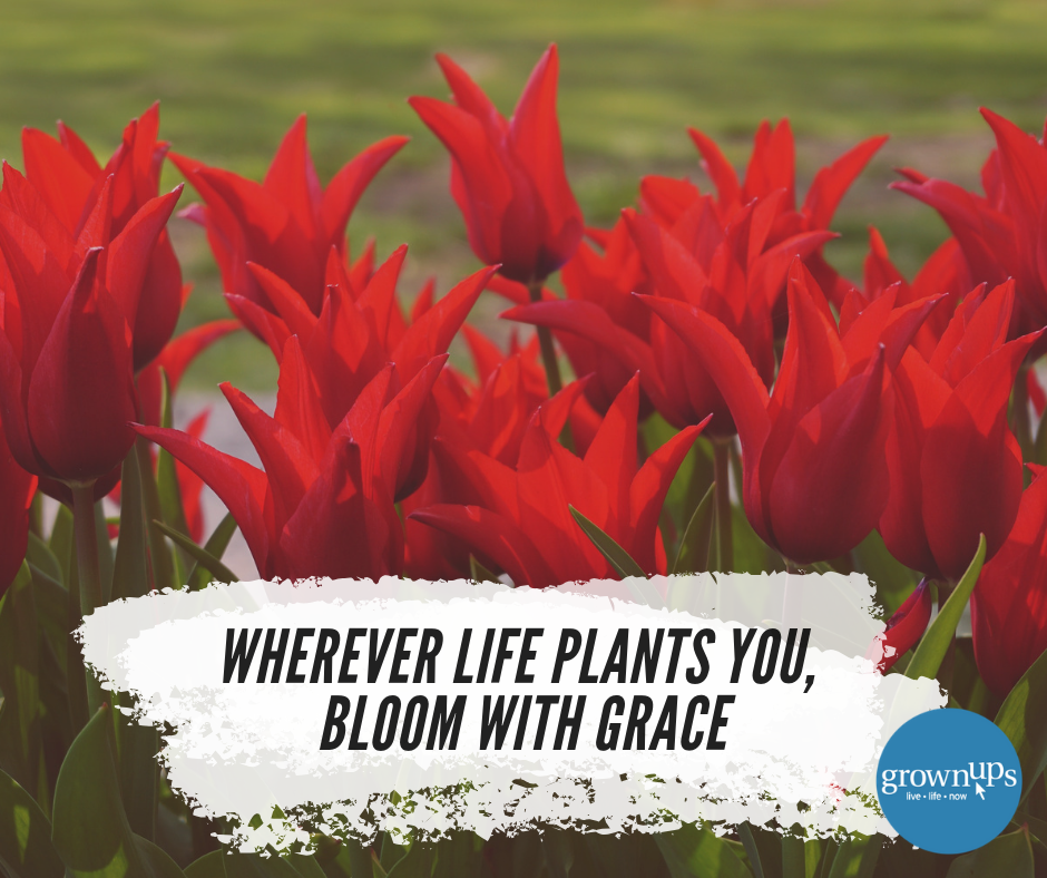 Where ever life plants you bloom with grace