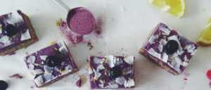wild-blueberry-and-lemon-slice
