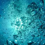 air-bubbles-diving-underwater-blow-62307