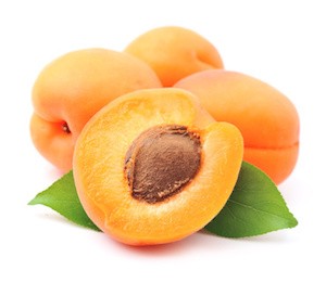 Sweet apricots fruits with leafs on white