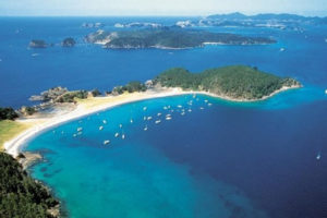 auckland-to-hokianga-bay-of-islands-3-day-private-luxury-tour-time-unlimited-tours