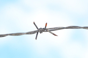 Barbed wire fence with sky